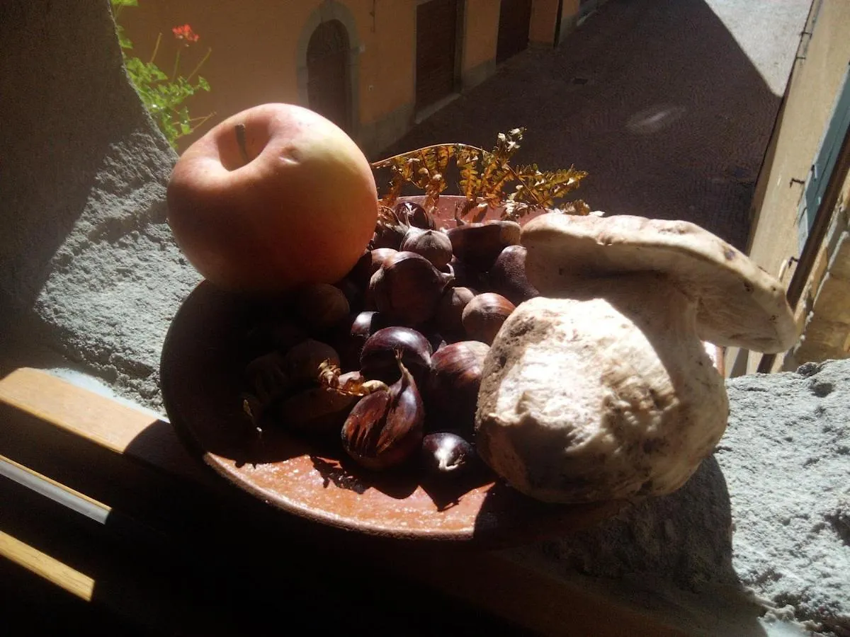Alojamento de Acomodação e Pequeno-almoço B&B Fiume Bianco Fiumalbo Itália